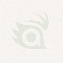 Terakeet, Contributing Author for Terakeet