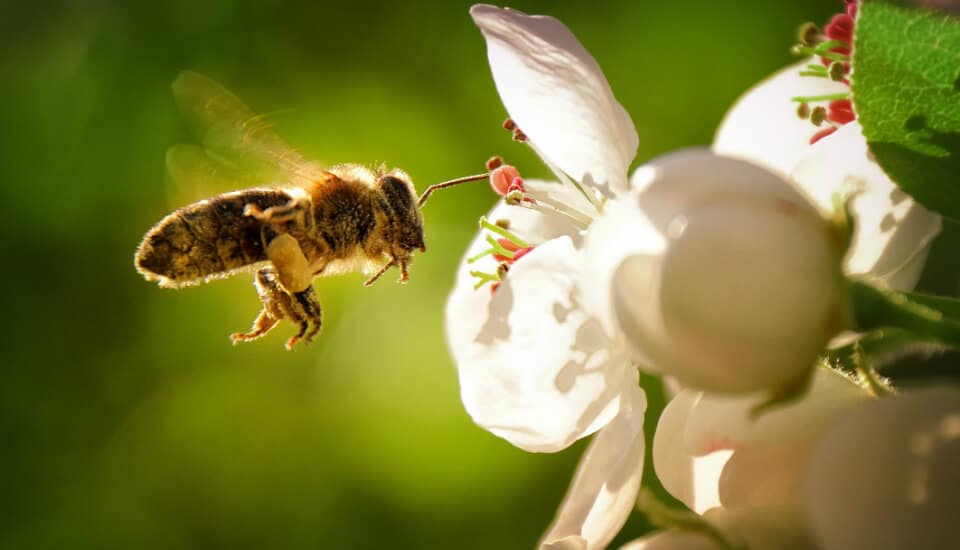 cross-pollinate content ideas with other industries