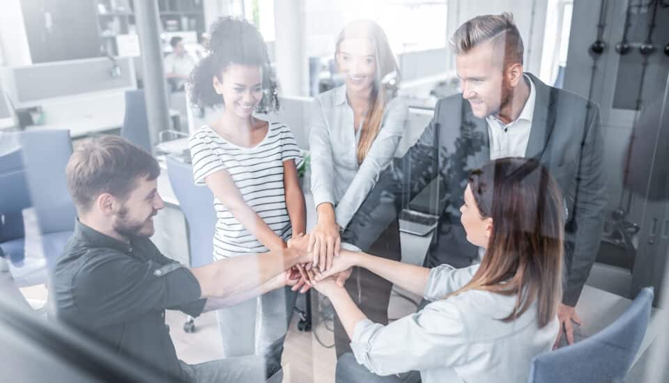 assign content team member roles