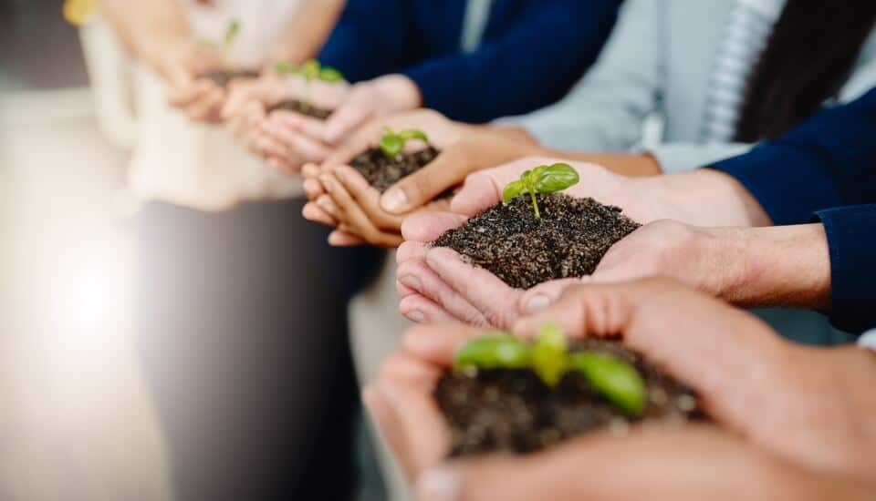 financial advisors engaging in corporate social responsibility