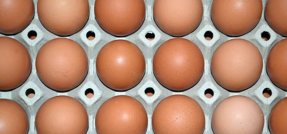 carton of brown eggs