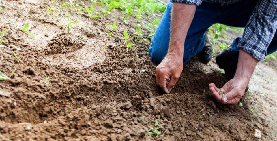 man planting seeds to nurture leads