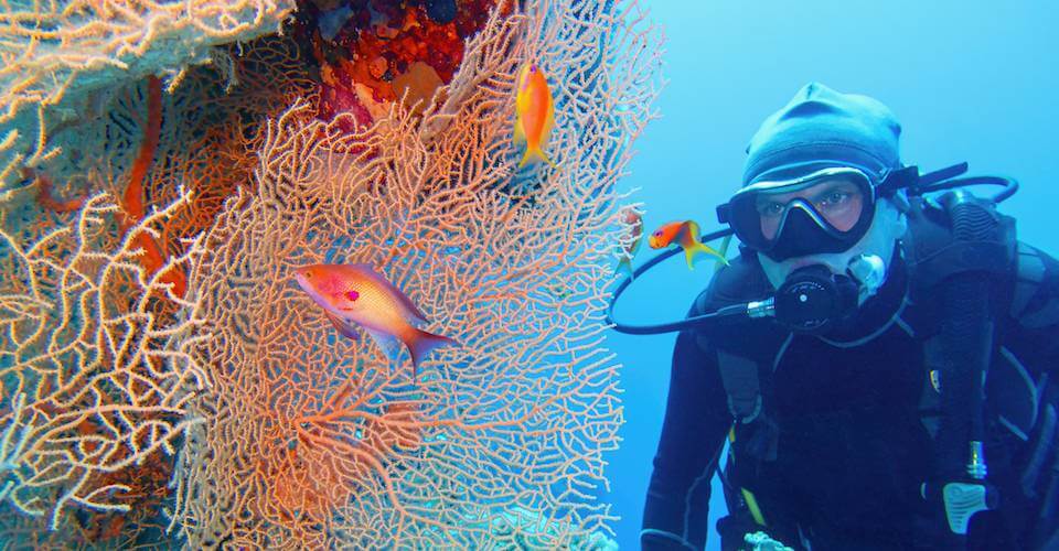 woman diving underwater to represent a customer acquisition plan