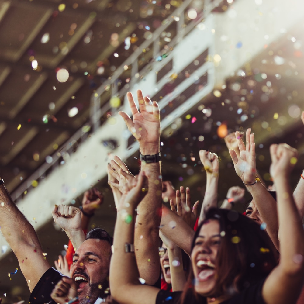 People at a sporting event